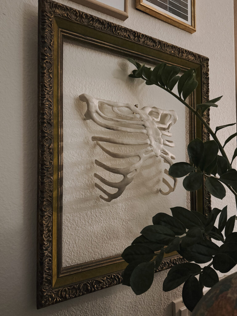 spooky frame with ribcage